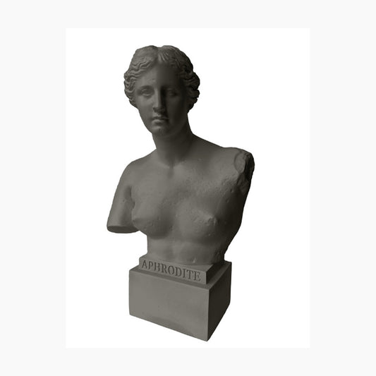 Palais Royal Busto Aphrodite Grey 50 Cm